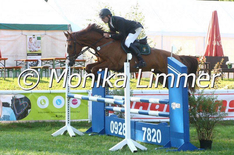 308M9212_Coral_Springpferde A.JPG